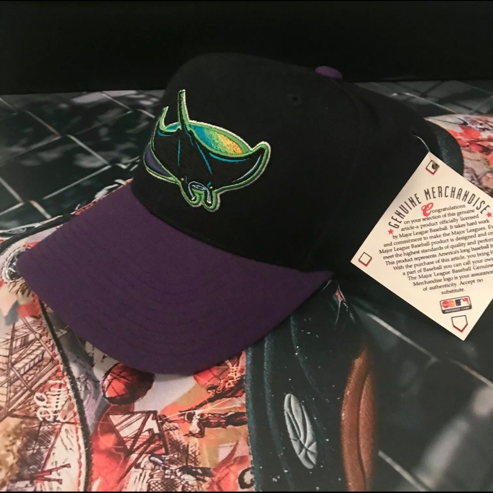Vintage Tampa bay devil rays SnapBack